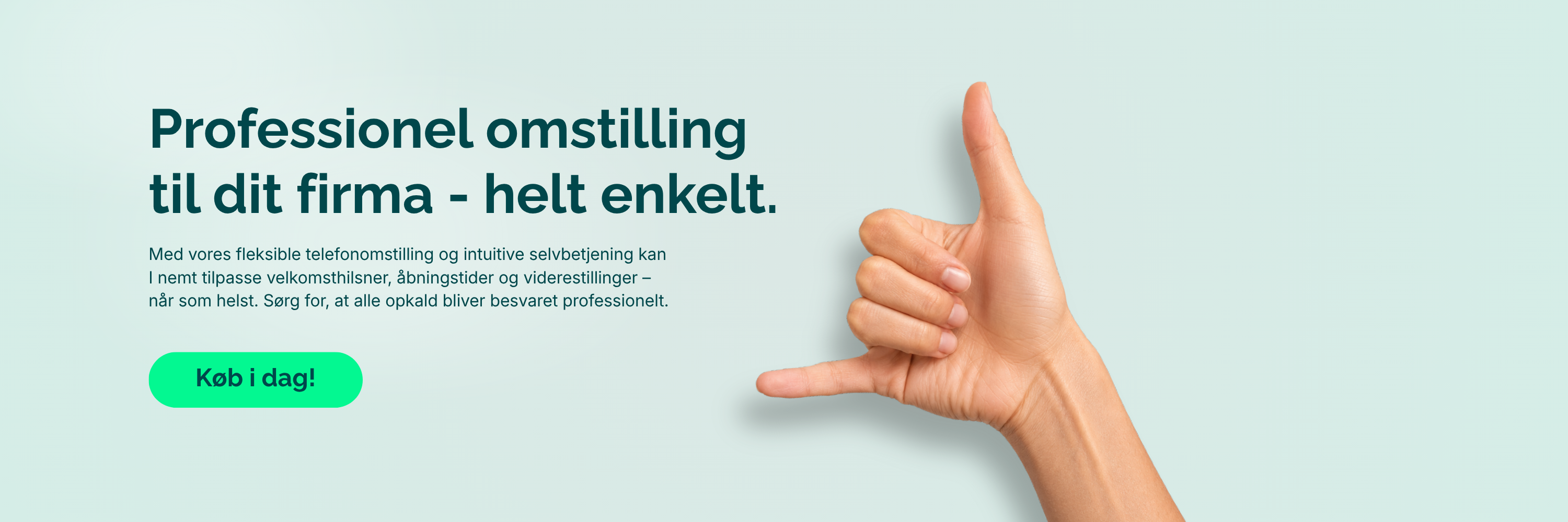 Professionel omstilling til dit firma. 