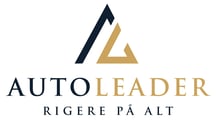 FF_AUTOLEADER-01